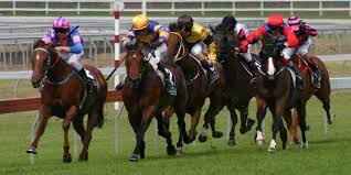 Muswellbrook streaming live