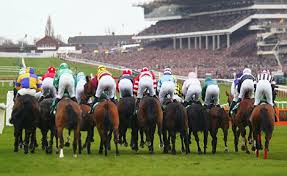 3.20 Cheltenham Gold Cup streaming live