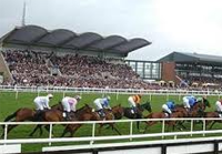 Fairyhouse streaming live