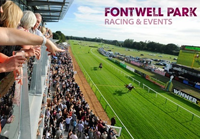 Fontwell Park streaming live