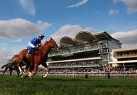 Newmarket streaming live