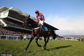 3.20 Queen Mother Champion Steeple Chase streaming live
