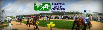 Tampa Bay Downs streaming live